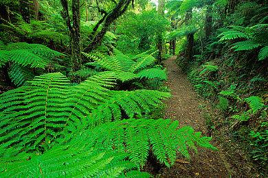 东欧GTA《维瓦特斯洛伐克》已加入英文语音