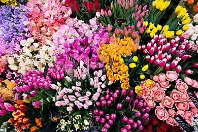 Fami通电击游戏大奖2024投票开启 明年3月公布获胜者